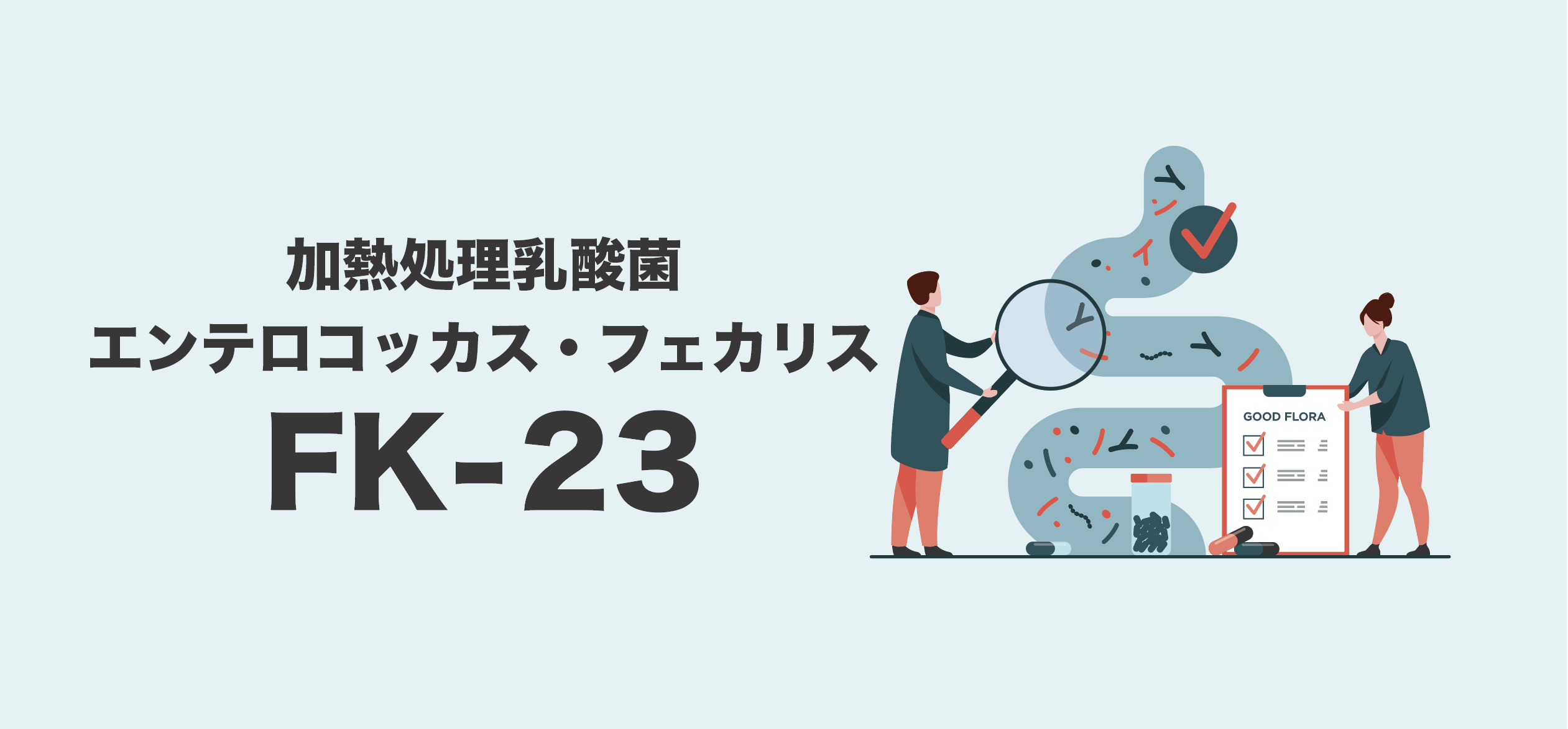 乳酸菌FK-23について